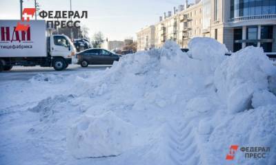 Полина Зиновьева - Синоптик объяснил, когда в Москве растает снег - fedpress.ru - Москва