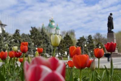 В понедельник, 1 марта, отметим Праздник весны, Всемирный день комплимента, День кошек, Всемирный день иммунитета, День планирования свадьбы - astrakhanfm.ru - Астрахань
