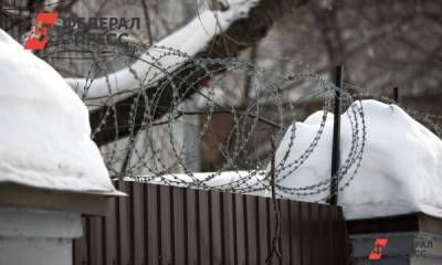 Алексей Навальный - Илья Варламов - Что ждет Навального в самой жесткой колонии РФ: ответ Варламова - fedpress.ru - Москва - Владимирская обл.