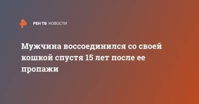 Мужчина воссоединился со своей кошкой спустя 15 лет после ее пропажи - ren.tv
