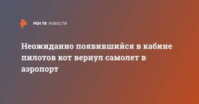 Неожиданно появившийся в кабине пилотов кот вернул самолет в аэропорт - ren.tv - Судан - Катар