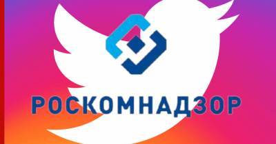 С 2017 года Twitter не удалил 2,8 тыс. запрещенных материалов - profile.ru - Twitter
