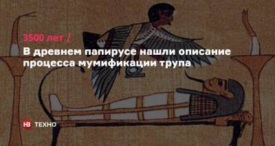 3500 лет. В древнем папирусе нашли описание процесса мумификации трупа - nv.ua - Египет - Копенгаген