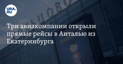 Три авиакомпании открыли прямые рейсы в Анталью из Екатеринбурга - ura.news - Екатеринбург - Турция