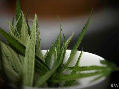 Вирджиния - Еще один штат США решил легализовать марихуану, но с 2024 года - gordonua.com - США - Колумбия - шт. Колорадо - шт.Нью-Джерси - шт. Иллинойс - шт. Невада - шт.Аляска - шт. Калифорния - шт. Аризона - штат Монтана - шт. Массачусетс - штат Орегон - шт. Мичиган - штат Вермонт - штат Мэн - штат Южная Дакота