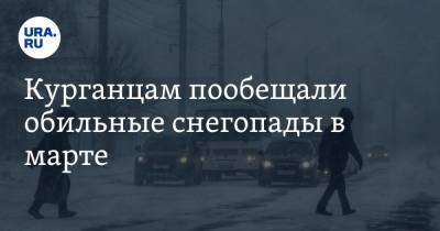 Илья Винштейн - Курганцам пообещали обильные снегопады в марте - ura.news - Курганская обл.
