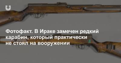 Фотофакт. В Ираке замечен редкий карабин, который практически не стоял на вооружении - news.tut.by - Ирак - Чсср - Европа