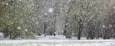 Илья Винштейн - В марте в Курганскую область придут сильные снегопады - runews24.ru - Курганская обл.