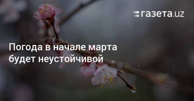 Погода в начале марта будет неустойчивой - gazeta.uz - Узбекистан - Навоийской обл.