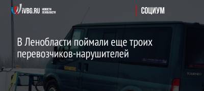 В Ленобласти поймали еще троих перевозчиков-нарушителей - ivbg.ru - Ленинградская обл. - Санкт-Петербург - район Гатчинский