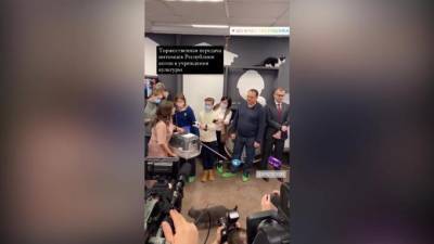 Три петербургских кота нашли свой дом в двух театрах и ЦПКиО - piter.tv - Санкт-Петербург - Петропавловск