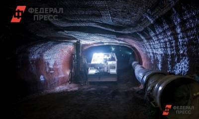 Владимир Путин - Кузбасские горняки просят Путина выплатить им зарплату - fedpress.ru