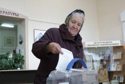 Андрей Турчак - "Единая Россия" проведет электронные праймериз на портале госуслуг - nakanune.ru