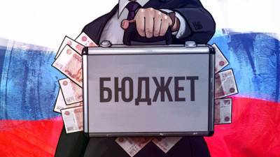 Минфин озвучил размер дохода бюджета от размещения средств ФНБ в 2020 году - riafan.ru - Москва