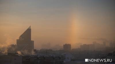 Сегодня можно отпраздновать День Кикиморы и Новый год Света - newdaynews.ru - Русь
