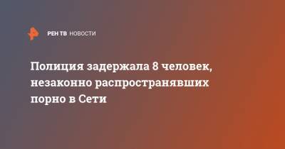 Полиция задержала 8 человек, незаконно распространявших порно в Сети - ren.tv - Москва - Красноярский край - Красноярск