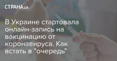 Владимир Зеленский - Михаил Федоров - Денис Шмыгаль - В Украине стартовала онлайн-запись на вакцинацию от коронавируса. Как встать в "очередь" - strana.ua