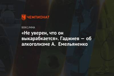 Александр Емельяненко - Камил Гаджиев - «Не уверен, что он выкарабкается». Гаджиев — об алкоголизме А. Емельяненко - championat.com