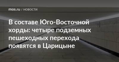 Рафик Загрутдинов - В составе Юго-Восточной хорды: четыре подземных пешеходных перехода появятся в Царицыне - mos.ru - Москва - Строительство