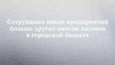 Сотрудники каких предприятий больше других внесли налогов в городской бюджет - chelny-izvest.ru
