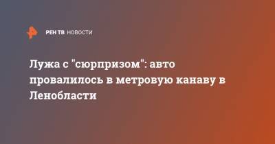 Лужа с "сюрпризом": авто провалилось в метровую канаву в Ленобласти - ren.tv - Ленинградская обл. - р-н Всеволожский