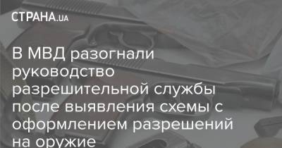 Антон Геращенко - В МВД разогнали руководство разрешительной службы после выявления схемы с оформлением разрешений на оружие - strana.ua