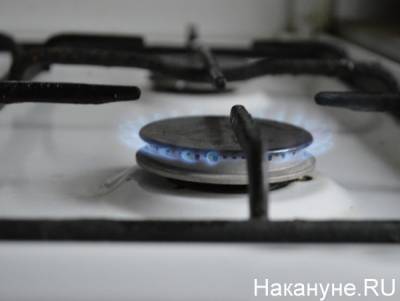 Под контролем региональных властей. Сжиженный газ вернется в дома курганцев к вечеру 2 марта - nakanune.ru - Оренбург - Сургут - Курганская обл.