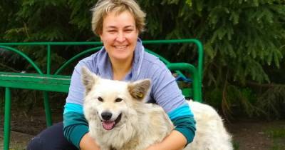 Уходя от мужа, забрала только собаку: история калининградки, ухаживающей за бездомными животными - klops.ru