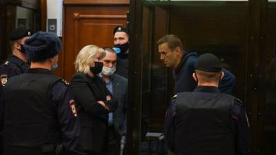 Алексей Навальный - Навальный намеренно не отмечался по делу "Ив Роше" - nation-news.ru - Москва