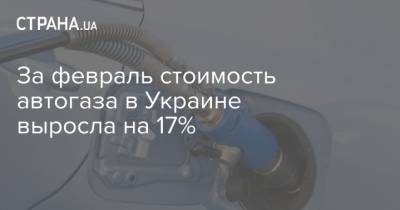 За февраль стоимость автогаза в Украине выросла на 17% - strana.ua