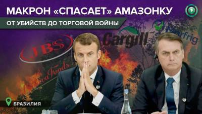 Эммануэль Макрон - Жаир Болсонару - От убийств за землю до торговой войны: как Франция и Бразилия воюют за лес в Амазонии - riafan.ru - Бразилия