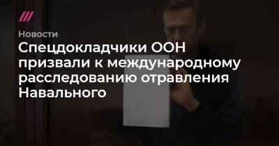 Спецдокладчики ООН призвали к международному расследованию отравления Навального - tvrain.ru - Берлин