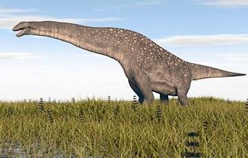 Ученые обнаружили в Южной Америке самого древнего титанозавра в мире - charter97.org