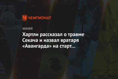 Роберт Хартли - Хартли рассказал о травме Секача и назвал вратаря «Авангарда» на старт плей-офф - championat.com - Екатеринбург