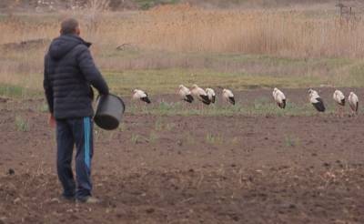 Природное чудо заметили в небе над Львовщиной, фото: "Значит скоро весна" - lviv.politeka.net - Львовская обл.