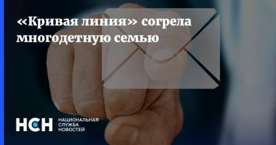 «Кривая линия» согрела многодетную семью - nsn.fm - Москва