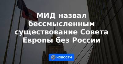 Алексей Навальный - МИД назвал бессмысленным существование Совета Европы без России - news.mail.ru