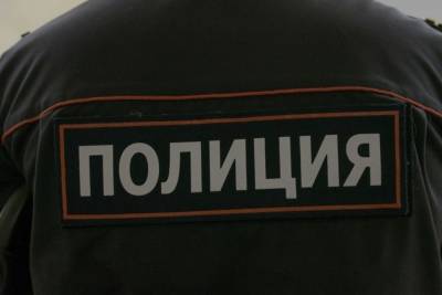 Александр Сергеевич Пушкин - Под Рязанью до смерти забили Александра Сергеевича Пушкина в юбке - mk.ru - Рязанская обл. - Рязань