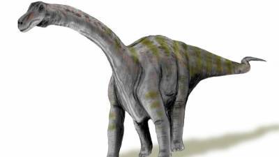 Ученые признали аргентинского титанозавра самым древним в мире - nation-news.ru
