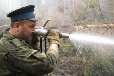 Ярославские казаки будут тушить пожары - yar.mk.ru - ЦФО - Ярославская обл.