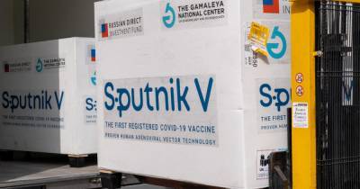 Игорь Матович - Словакия получила первую партию вакцины "Спутник V" без одобрения в ЕС - ren.tv - Словакия