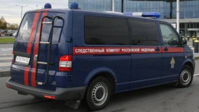 СК завел дело против минспорта Мордовии в связи с махинациями по поставке оборудования - smartmoney.one - республика Мордовия