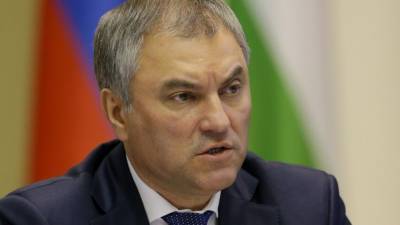 Алексей Навальный - Вячеслав Володин - Председатель Госдумы считает ЕСПЧ инструментом в руках Запада - riafan.ru - Москва