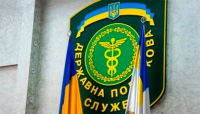 Налоговая в прошлом году провела более 42 тысяч проверок - bin.ua