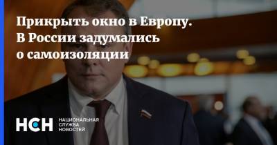 Татьяна Москалькова - Петр Толстой - Прикрыть окно в Европу. В России задумались о самоизоляции - nsn.fm