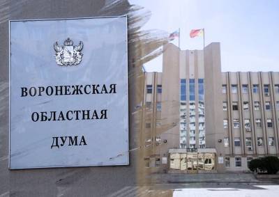 В Воронежской области депутата хотят лишить мандата из-за статуса адвоката - mskgazeta.ru - Воронеж - Воронежская обл.