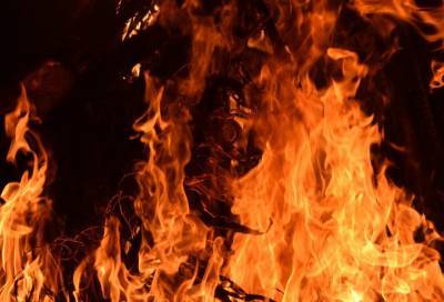 Житель Кингисеппа признан виновником пожара, в котором погибли женщина и ребёнок - online47.ru - Ленинградская обл. - Кингисепп