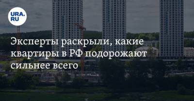 Ильдар Хусаинов - Эксперты раскрыли, какие квартиры в РФ подорожают сильнее всего - ura.news - Москва - Санкт-Петербург - Сочи - Красноярск - Казань