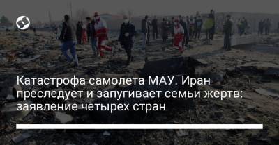 Катастрофа самолета МАУ. Иран преследует и запугивает семьи жертв: заявление четырех стран - liga.net - Иран - Тегеран