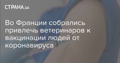 Во Франции - Во Франции собрались привлечь ветеринаров к вакцинации людей от коронавируса - strana.ua - Франция - Канада - Аргентина